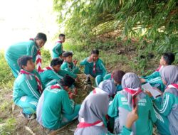 Petualangan Jejak Pramuka: Meresapi Keindahan Alam dan Kekuatan Tim